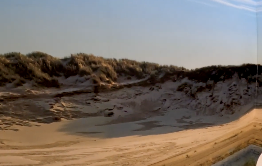 Duinen met zand en gras